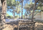 Chalet independiente con terreno en venta en la España, Aspe, ref: TR403688 foto