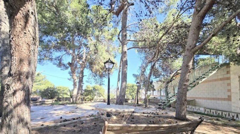 Alicante - Aspe - 4838m2