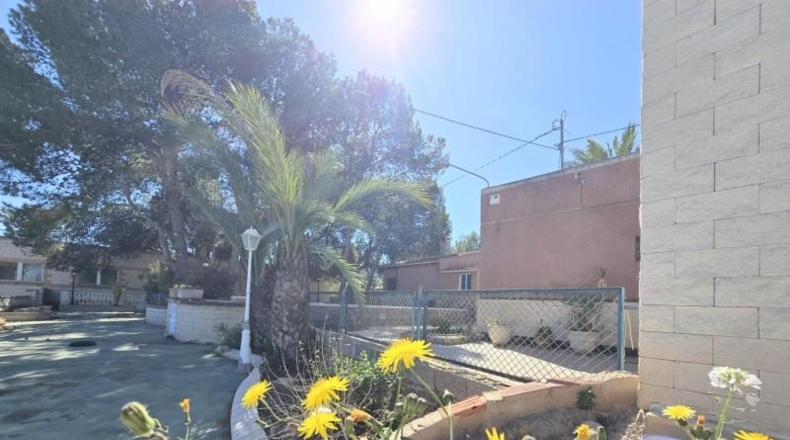Alicante - Aspe - 4838m2