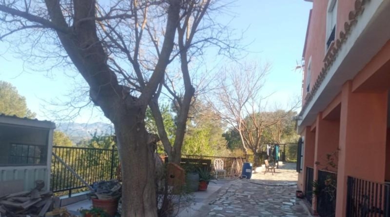 Alicante - Cocentaina - 11000m2