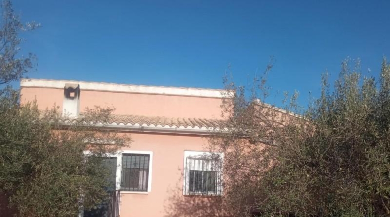 Alicante - Cocentaina - 11000m2