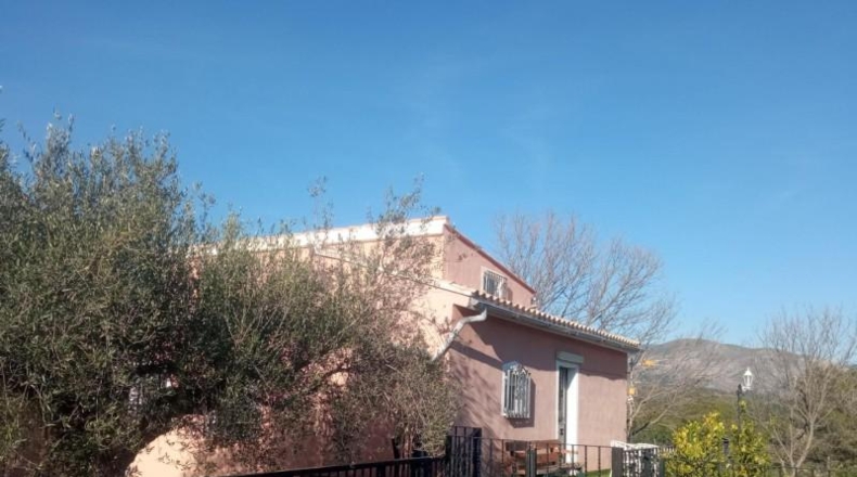 Alicante - Cocentaina - 11000m2