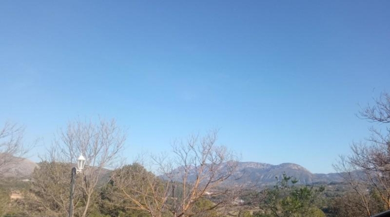 Alicante - Cocentaina - 11000m2