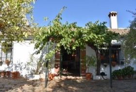 Montoro 74000&nbsp;m² 
