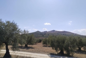 Antequera 20500&nbsp;m² 