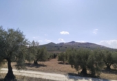 Terreno no urbanizable en venta en la España, Antequera, ref: TR124099 foto