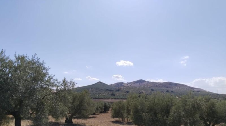 Málaga - Antequera - 20500m2
