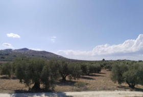 Antequera 20500&nbsp;m² 
