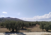 Terreno no urbanizable en venta en la España, Antequera, ref: TR124099 foto