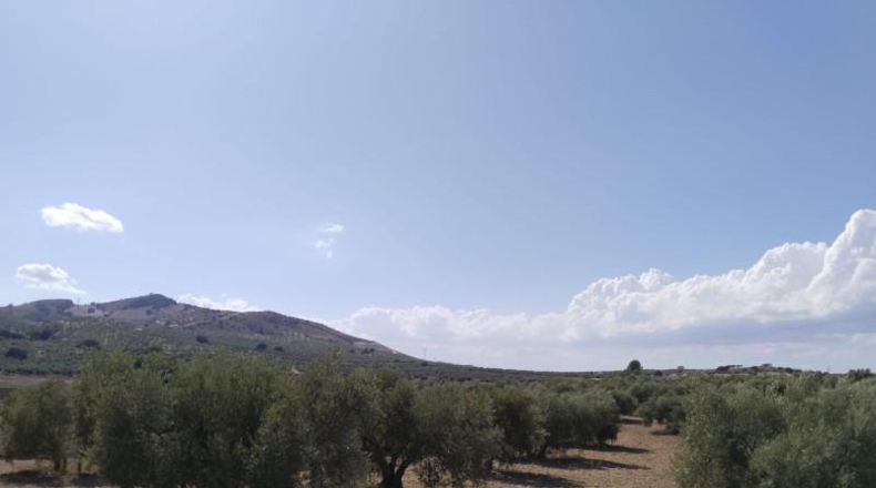 Málaga - Antequera - 20500m2