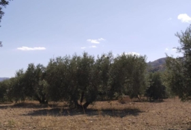 Antequera 20500&nbsp;m² 