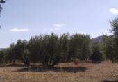 Terreno no urbanizable en venta en la España, Antequera, ref: TR124099 foto
