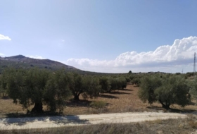 Antequera 20500&nbsp;m² 