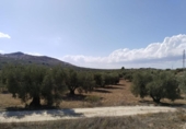Terreno no urbanizable en venta en la España, Antequera, ref: TR124099 foto