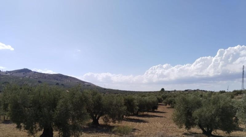 Málaga - Antequera - 20500m2