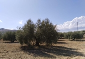 Terreno no urbanizable en venta en la España, Antequera, ref: TR124099 foto