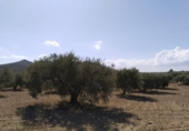 Terreno no urbanizable en venta en la España, Antequera, ref: TR124099 foto