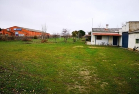Foto 7