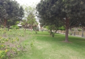 Urban land for sale on España, Motril, ref: TR122580 photo