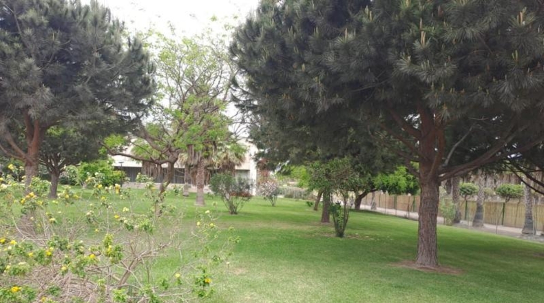 Granada - Motril - 445m2