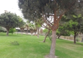 Urban land for sale on España, Motril, ref: TR122580 photo