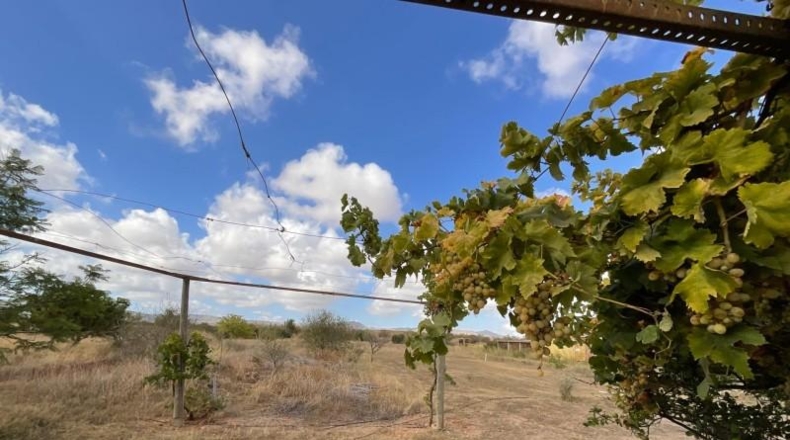 Murcia - Cartagena - 6569m2