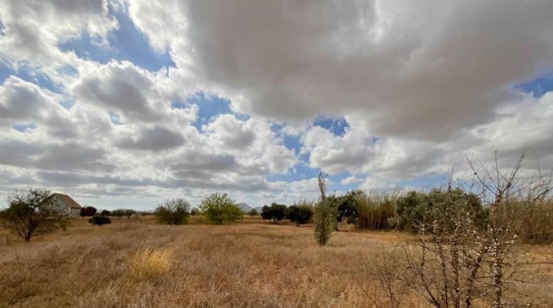 Murcia - Cartagena - 6569m2