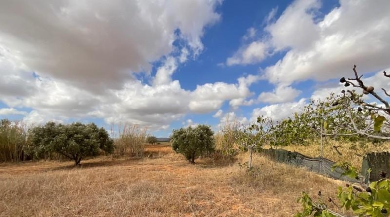 Murcia - Cartagena - 6569m2