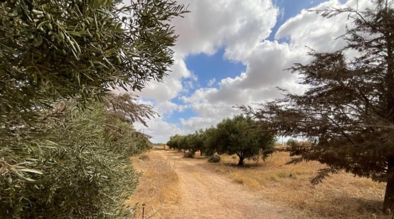Murcia - Cartagena - 6569m2