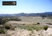 Casa de camp amb terreny en venda a la España, Novelda, ref.: TR139577 foto