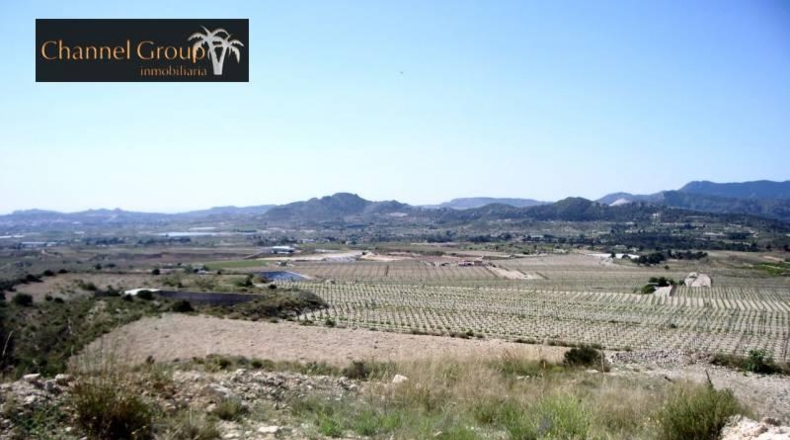 Alicante - Novelda - 40000m2