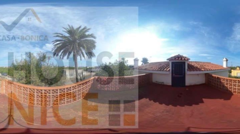 Castellón - Benicarló - 220m2