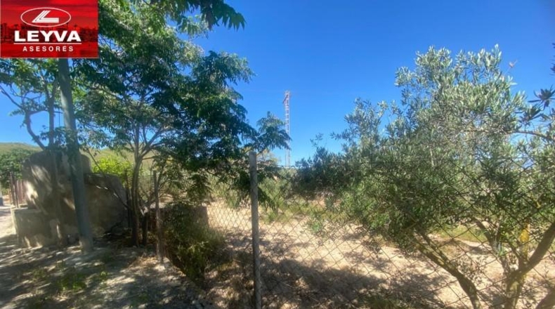 Murcia - Cartagena - 3500m2