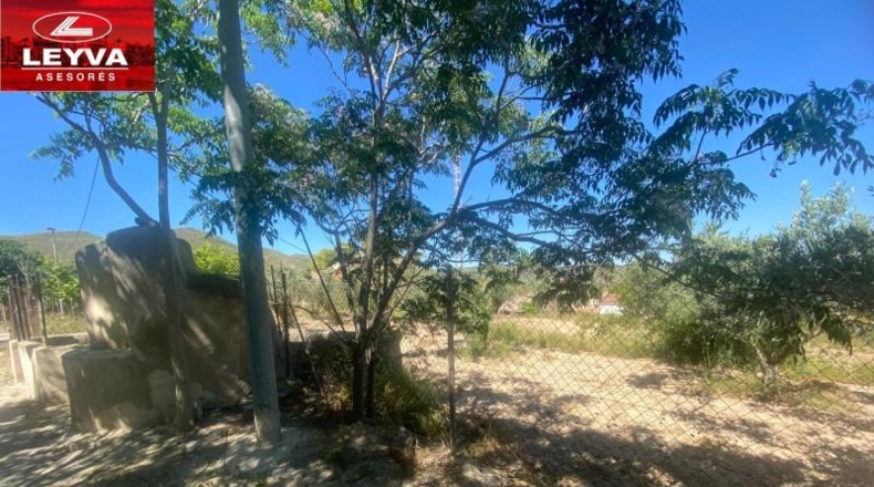Murcia - Cartagena - 3500m2