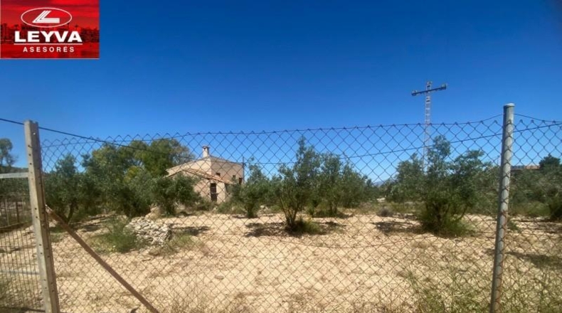 Murcia - Cartagena - 3500m2