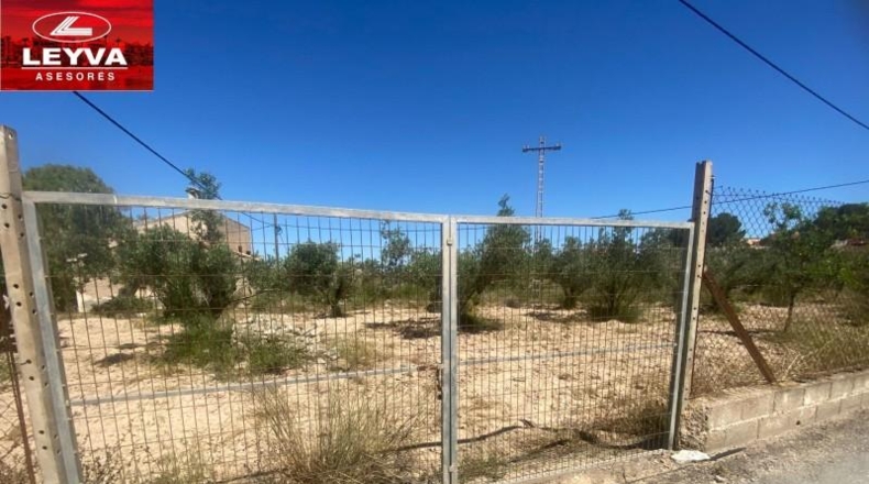 Murcia - Cartagena - 3500m2