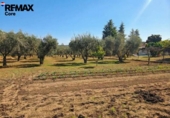 Xalet independent amb terreny en venda a la España, Badajoz, ref.: TR379818 foto