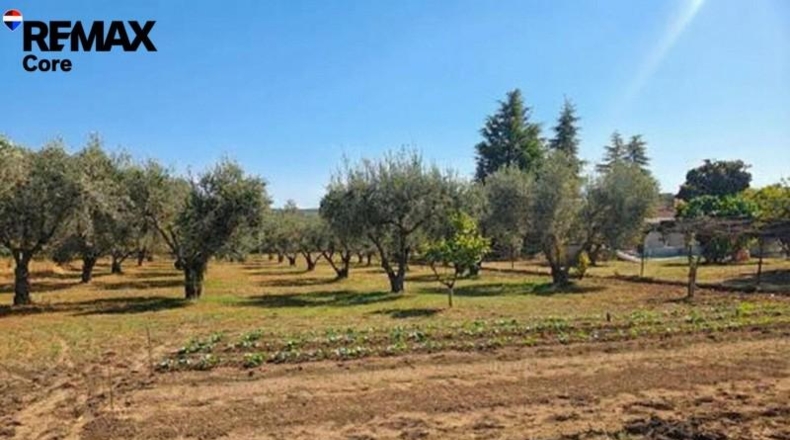 Badajoz - Badajoz - 5000m2