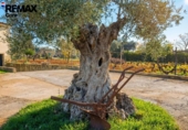 Xalet independent amb terreny en venda a la España, Badajoz, ref.: TR379818 foto