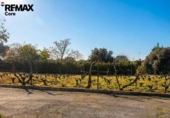 Xalet independent amb terreny en venda a la España, Badajoz, ref.: TR379818 foto