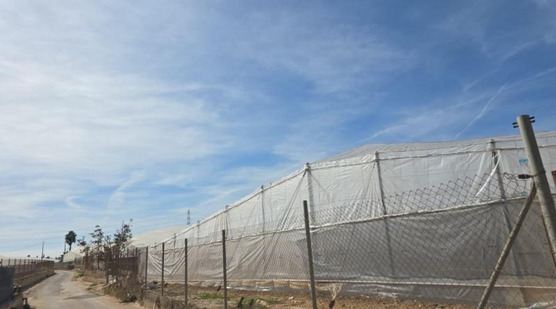 Alicante - Pilar de la Horadada - 2500m2