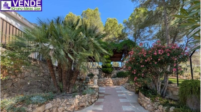 Alicante - Sax - 5000m2