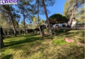 Xalet independent amb terreny en venda a la España, Saix, ref.: TR309818 foto