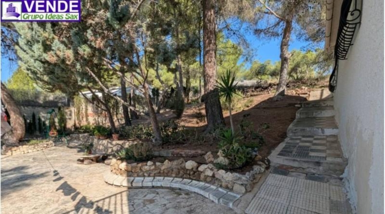 Alicante - Sax - 5000m2