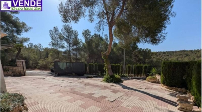 Alicante - Sax - 5000m2
