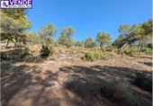 Xalet independent amb terreny en venda a la España, Saix, ref.: TR309818 foto