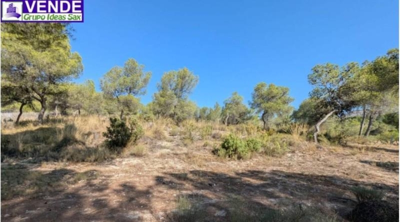 Alicante - Sax - 5000m2