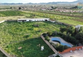 Casa de campo con terreno en venta en la España, Fuente Álamo, ref: TR382667 foto