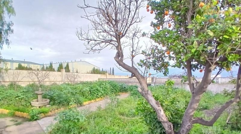 Murcia - Fuente Álamo de Murcia - 11950m2