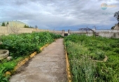 Casa de campo con terreno en venta en la España, Fuente Álamo, ref: TR382667 foto